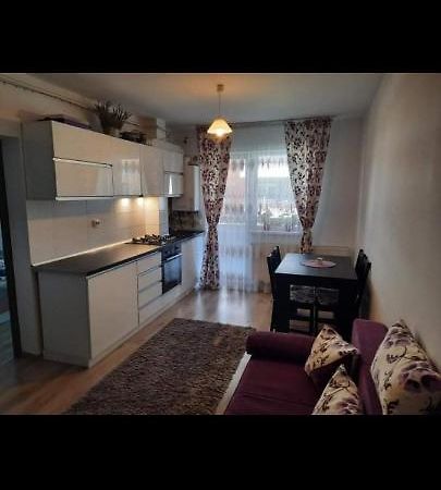Diana Apartament Apartment Brasov Exterior photo